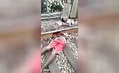 The train crack the dude in 2 halves uncensored videos