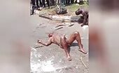Two men were put to death by an angry mob uncensored videos m.