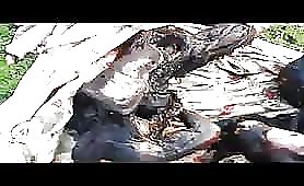 Syrian Burned Corpses