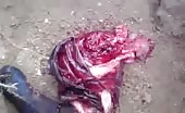 Decapitated Head And Ripped Off Leg 