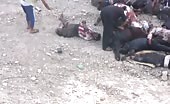 Prisoners In Iraq Were Killed In The City Of Mosul 