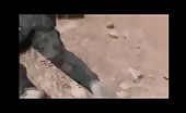 Dead Syrian Army Men In Aleppo