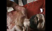 Victims of the brutality of Assad regime
