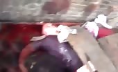 Massacre Footage of Egypt