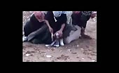 Old Footage Of Beheading 
