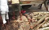 Terrible accident in Srilanka