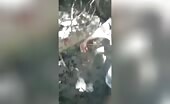 3 young ladies decapitated s murders, exe