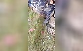 4 youthful people eliminated in a horrible vehicle collision
