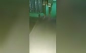 A lady was actually assaulted by 4 guy and also then hanged aftermath uncen