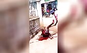 Man beaten with machete on street