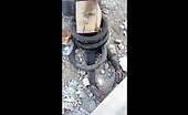 Angry haitian mob burnt to death 13 suspected gang members t.