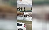 Bear goes complete attack mode, leaps onto a roof where men are