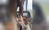 Pilot survives bird strike