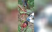 Bloody insanity by venezuelan gang s murde