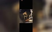 Bro was not going to be pit bull treat not tonight - video