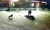 Stabbing near a bar