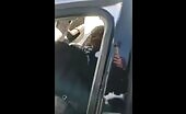 Israelis shoot suspected Palestinians