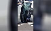 Truck driver survives mishap