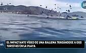 The shocking video of a whale swallowing 2 tourists on the