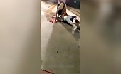 Truck falls from motor