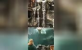 Man crashes vehicle, then runs into Bass Pro store