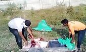 Train severs man's head
