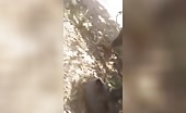 2 men shot in forest execution