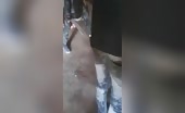 Women tortured in Cameroon
