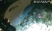 Two policeman perform cpr on a pet dog that was rescued fr