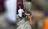 Wtf zoophile raped a pet he was captured by stunned onlookers