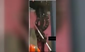 When giant snakes fall through the ceiling !!! - videos - vid