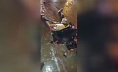 Woman killed by trailer in execution