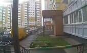 Woman falls to death from 12th floor