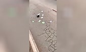 Man killed in motorbike accident with severed arm and leg