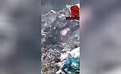 [barbecue time] dead body dumped and burned with trash theyn