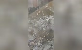 Haitian barbecue incident part two