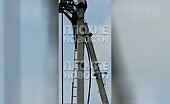 Electrician dies in power line repair accident