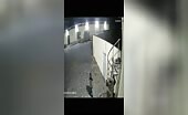 Thieves Confronted by Security Guard