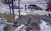 Woman Hit by Car While Fleeing Dogs