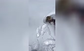 Corpse Found in Himalayan Foothills