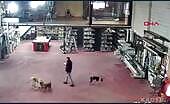 Worker Catches Fire in Aluminium Workshop