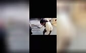 Streamer Knocked Out in Brawl