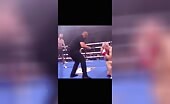 Boxer's Face Shatters from Stiff Jab
