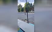 Man Dies Attempting Stunt
