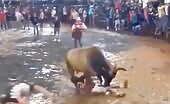 Bull Attacks Man in Nicaragua