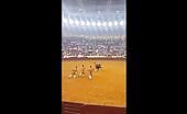 Bullfighter Gored to Death