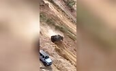 Car Rolls Down Hill, Throws Driver