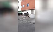 Woman Falls to Death from 5th Floor