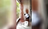 Worker's Close Call at Construction Site