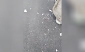 Man Crushed by Falling Stone Pillar